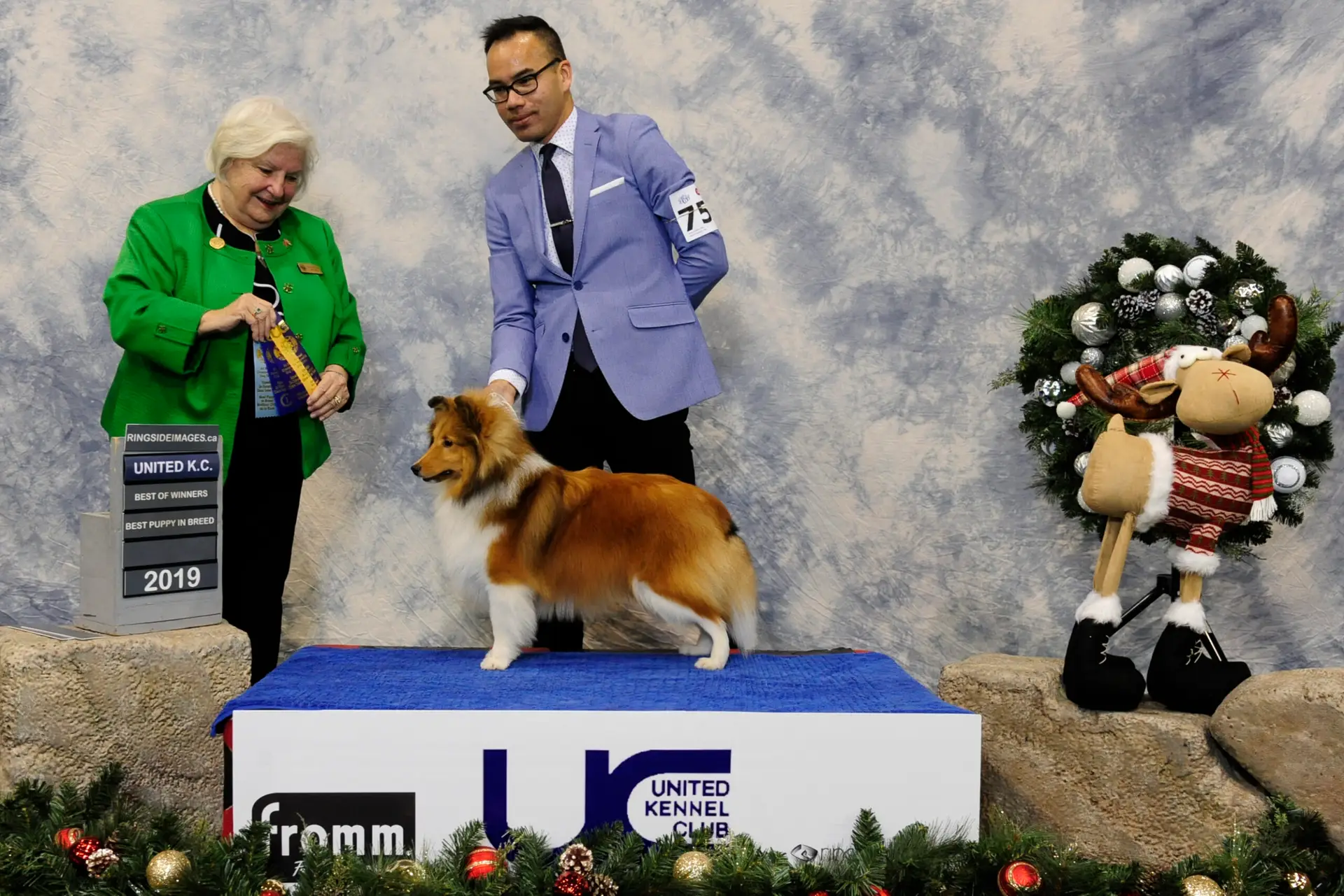 Show photos – GrandGables Look Twice He’s Jmell – UC_Kennel Club2022 Best of Winners, Best Puppy in Breed