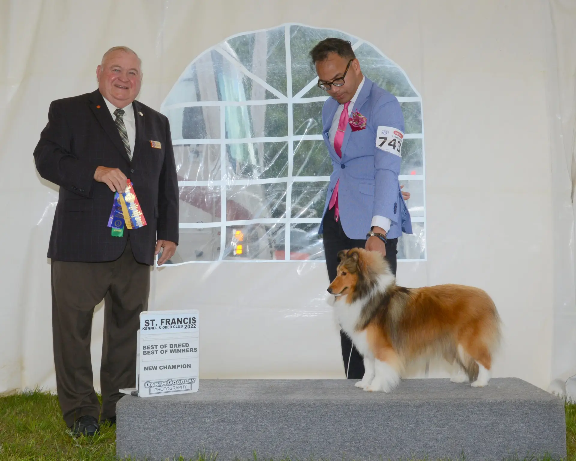 Show photos – GrandGables Quite Imposing Saint Francois – 2022 Best of Breed – Best of Winners – Michael Lanctot