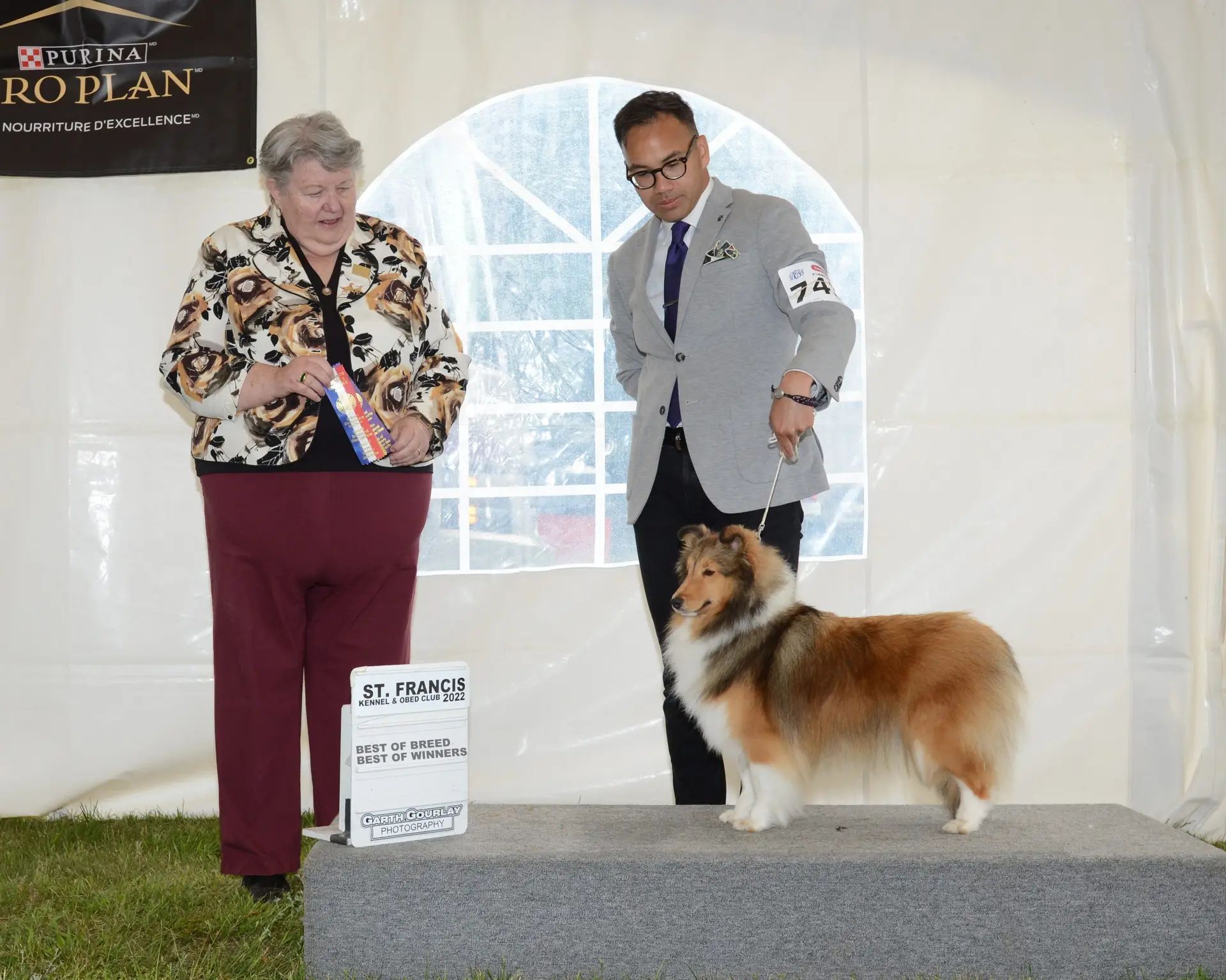 Show photos – GrandGables Quite Imposing Saint Francois – 2022 Best of Breed – Best of Winners – Thora Brown